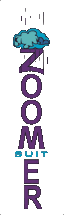 Logo Zoomer